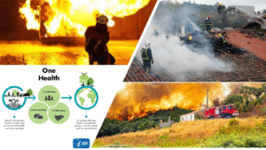 Incêndios: Um Problema de Saúde